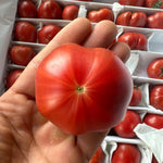 3KGt Box of Sweet Pink Tomatoes in Dubai