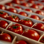 Tomatoes Built for Professional Kitchens. Trusted by Chefs.
