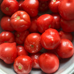 🍅 Home Box - Premium Sweet Pink Tomatoes