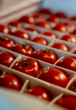 Soft Tomatoes - 5 KG Box