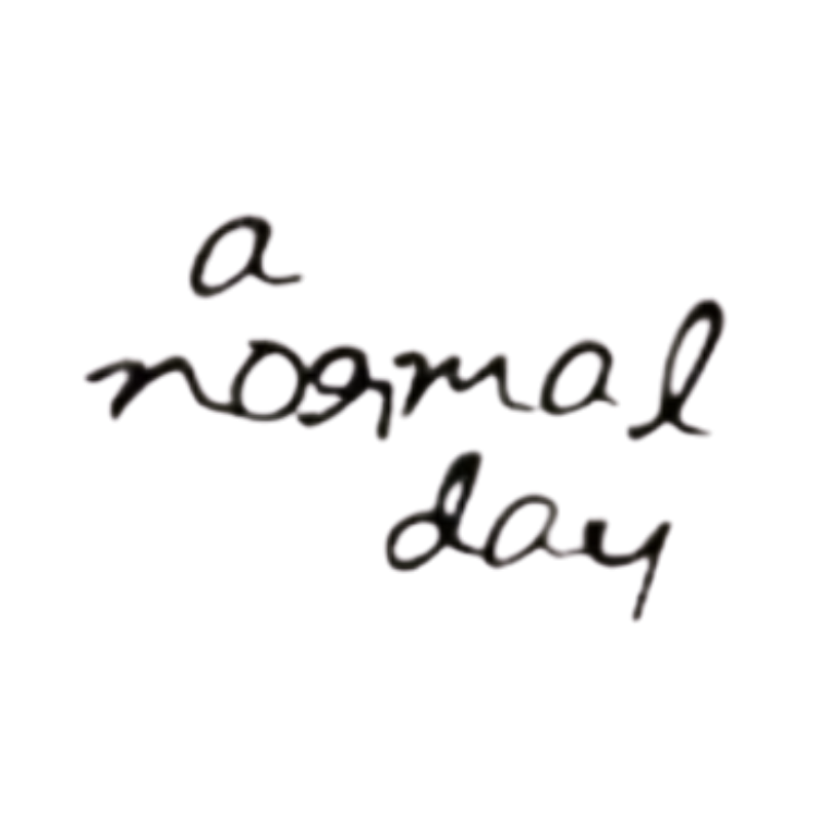 A Normal Day